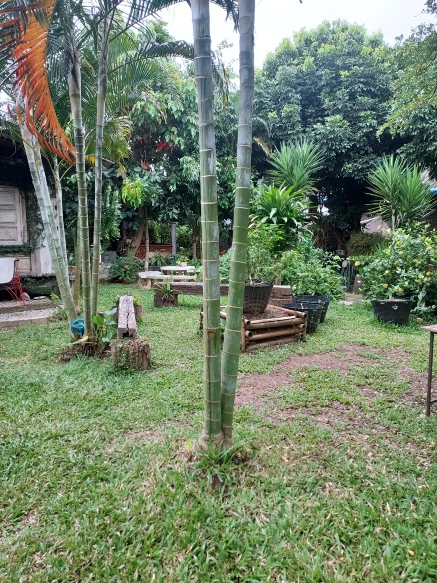 Kwanlah Homestay Мае Чаем Экстерьер фото