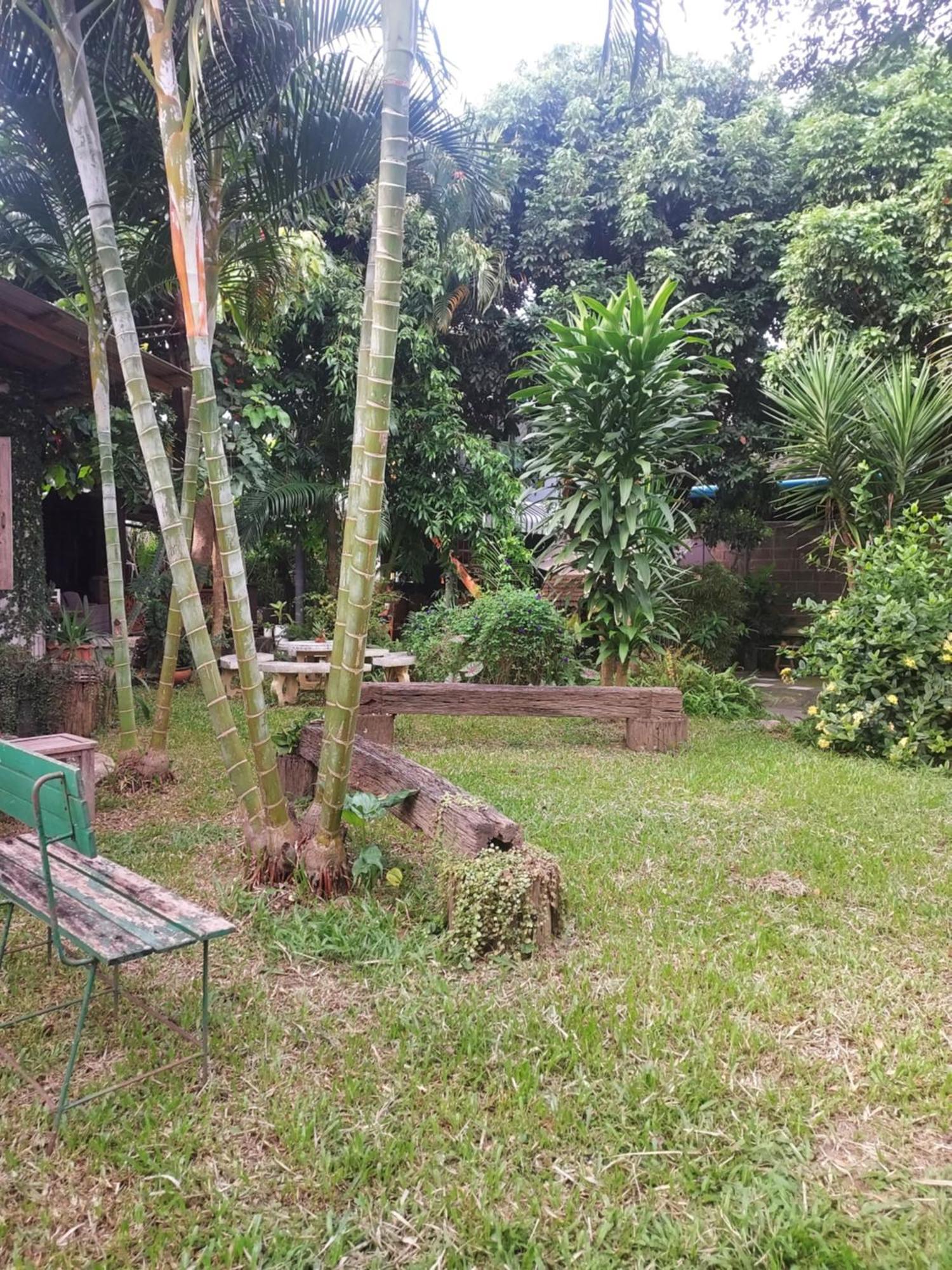 Kwanlah Homestay Мае Чаем Экстерьер фото